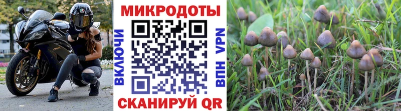 нарко площадка Telegram  Борисоглебск  Псилоцибиновые грибы ЛСД 